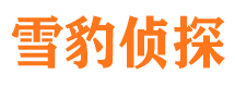 泰和侦探公司